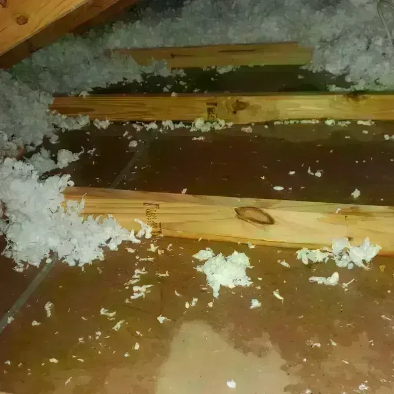 Attic Water Damage in Uinta County, WY