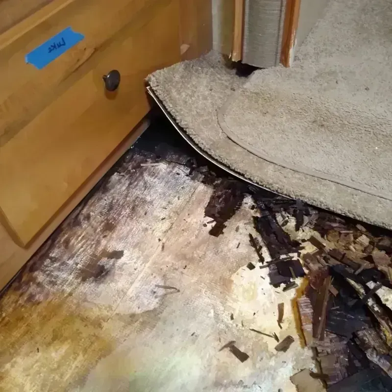 Wood Floor Water Damage in Uinta County, WY